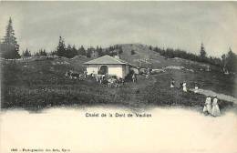 Fev13 1429 : Chalet De La Dent De Vaulion - Vaulion