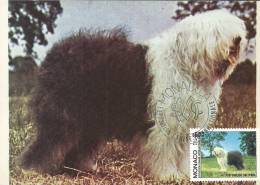 MONACO - Exposition Canine Internationale - Timbre Et Tampon Jour D'émission - Maximumkaarten