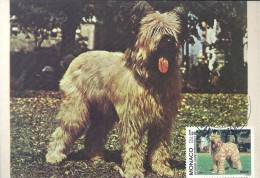 MONACO - Exposition Canine Internationale - Timbre Et Tampon Jour D'émission - Maximumkarten (MC)