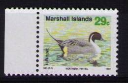 MARSHALL ISLANDS  Bird - Marshalleilanden