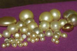 Lot De PERLES NACRE Anciennes / 47 Pièces BIJOUX - Boutons