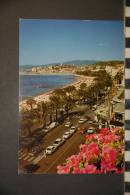 CP, 06, Cannes La Promenade De La Croisette Dans Le Fond Le Suquet N°1256 Editions Altari - Cannes