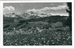 Bei Degersheim. Ausblick Zum Säntis - Degersheim