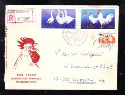 GOOSE, ROOSTER, REGISTRED COVER, OBLITERATION FDC, 1975, POLAND - Oies