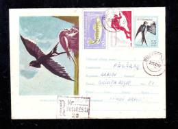 BIRDS, SWALLOW, CLIMBING, FISH, SPECIAL COVER, OBLITERATION ON COVER, REGISTRED, 1961, ROMANIA - Hirondelles