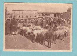 OUZBEKISTAN  -  TACHKENT  -   Am Bazar In Der Altstadt  - CARTE GF ( 14.5 X 10 )  ANIMEE  - - Ouzbékistan