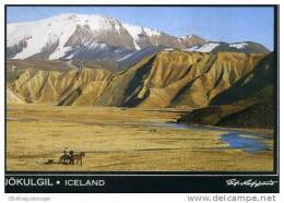 VOLCAN JOKULGIL ROP TOP CHEVAUX  LANDMANNALAUGER - IJsland
