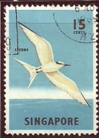 Singapore 1968 Birds Aves Oiseaux Vegels - Black-naped Tern  - Sterna Sumatrana Canc - Seagulls