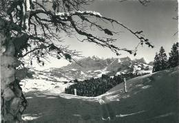 Skligebiet Ebnat-Kappel Mit Säntis - Ebnat-Kappel