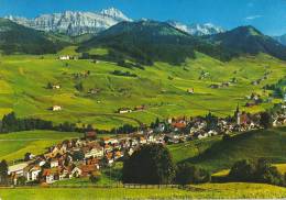 Urnäsch, Blick Zum Säntis - Urnäsch