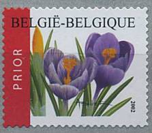 Lot 237 - B 10 - Belgique** N° 3135 - Fleurs : Crocus - Ungebraucht