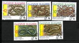 Bulgarie YV 3268/2 O 1989 Serpent - Snakes