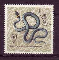 Pologne YV 1262 O 1963 Couleuvre - Serpents