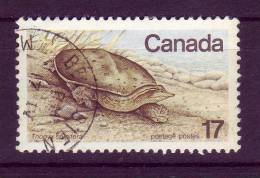 Canada YV 699 O 1979 Tortue - Tortues