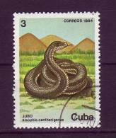 Cuba YV 2577 O 1984 Reptiles - Snakes