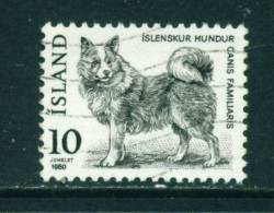 ICELAND - 1980 Dog 10k Used (stock Scan) - Gebraucht