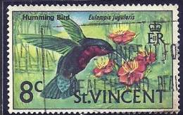 St Vincent 1970  Birds Aves Oiseaux Vegels Purple-throated Carib - Eulampis Jugularis Canc - Colibris