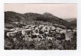 Mar13    8359937  La Garde Freinet  Vue Générale - La Garde Freinet