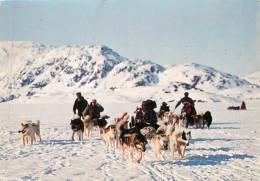 GROENLAND      TRAINEAU A CHIENS      CACHET TIMBRE - Groenlandia