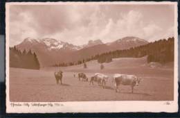 Pfronten - Schloßanger Alp - Pfronten