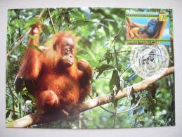 UNO-Genf 346 Maximumkarte MK/MC No. 57, Orang-Utan, 50 J. Weltgesundheitsorganisation WHO, Orang Utan - Maximumkarten