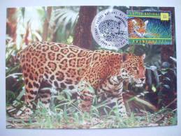 UNO-New York 783 Maximumkarte MK/MC No. 56, Jaguar, 50 J. Weltgesundheitsorganisati On WHO - Cartoline Maximum