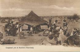 Campement Pres De Boutilimit  Saharien Caravane Mehari - Mauritanië