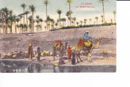 LE CAIRE  --  AU BORD DU NIL - Le Caire