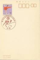 JAPAN :1971: Not-travelled Postal Stationery With Illustrated Cancellation :  SKIING,FIGURE SKATING,PATINAGE ARTISTIQUE, - Pattinaggio Artistico