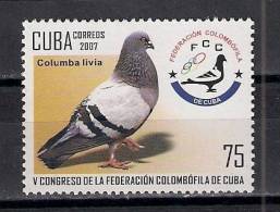 2007. COLOMBOFILA Pigeon Pigeons MNH - Neufs