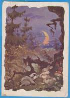 Russia, URSS. Rabbit, Lapins Mushrooms, Champignons Postal Stationery Postcard 1963 - Rabbits