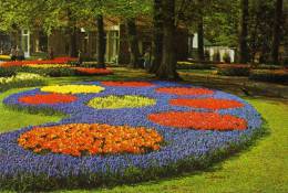 KEUKENHOF - LISSE HOLLAND - Lisse