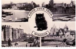 Good Luke From Windsor - Views - Windsor
