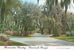 Bonaventure Cemetary - SAVANNAH - GEORGIA - Beautiful And Historic Cemetery, Once The Home Of The Tattnal Is. - 2 Scans - Savannah