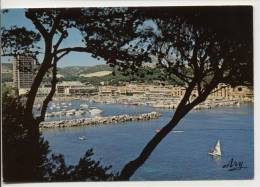 13 - CARRY LE ROUET - A Travers Les Pins, Panorama Sur Le Port - Carry-le-Rouet