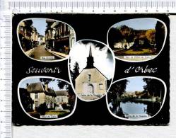 ORBEC - Souvenir -  5 Vues  : Rue Grande - Hôtel Du Croisy - Eglise & Etang De La Vespière - Parc De L Hôtel Du Croisy - Orbec