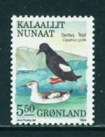 GREENLAND - 1987 Black Guillemots 5k50 Unmounted Mint - Unused Stamps