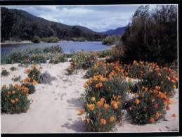 (456) Australia - NSW - Snowy Mountains - Sonstige & Ohne Zuordnung