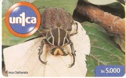 TARJETA DE VENEZUELA DE UN ESCARABAJO  (INSECTO-INSECT) - Otros & Sin Clasificación