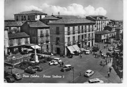 Bellissima Cartolina Anni 60 " Pizzo Calabro - Piazza Umberto I " - Vibo Valentia