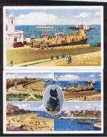 RB 925 - 2 Postcards - The Jetty Margate & Cat Multiview - Kent - Margate