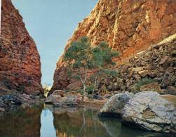 (444) Australia - NT - Simpson's Gap - Non Classificati