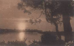 Delcampe - C1930 DANS LES LANDES DE GASCOGNE - COUCHER DE SOLEIL SUR CAPBRETON - Capbreton