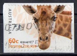 Australia 2012 Zoos 60c Giraffe Self-adhesive Used - Oblitérés