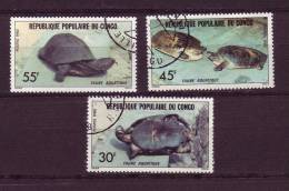 Congo Français YV 684/6 O 1982 Tortue - Turtles