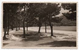 Cpsm - Puentedeume - Playa De La Magdalena Y Pinares - (9x14 Cm) - Andere & Zonder Classificatie