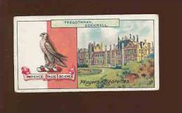 Tregothnan - Cornwall  /  Viscount Falmouth  / Arms  / IM 111 - Player's