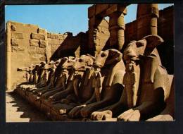 H168 Karnak Temple ( Egypt - Egitto ) - Ram Headed Sfinwes - Tempio, Tempel - Ed. Al Ahram - Sphinx