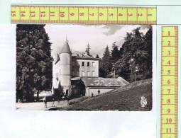 43  YSSINGEAUX CHATEAU DE MONTBARNIER - Yssingeaux