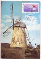 S. Miguel - Açores - Moinho De Vento. Windmill. Moulin à Vent. - Açores
